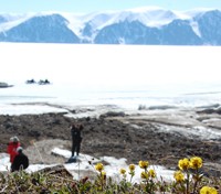 Arctic landscape